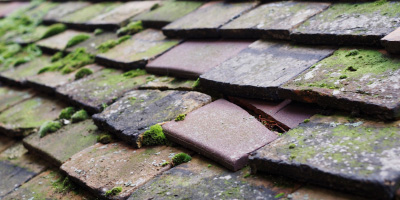 Swannington roof repair costs